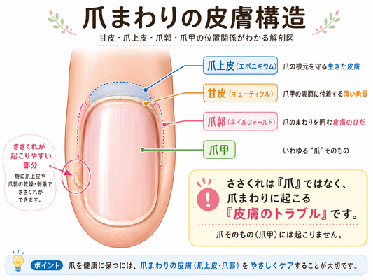 Hangnail Cuticle Care: What to Do Before Cutting